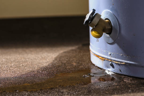 Best Basement water damage restoration  in Valatie, NY