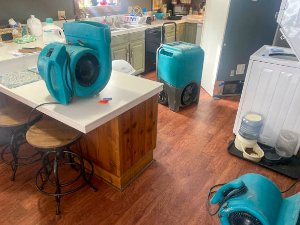 Best Water damage restoration near me  in Valatie, NY
