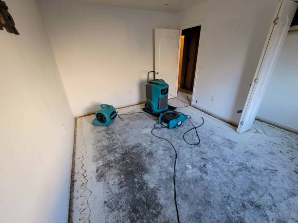 Best Sewage cleanup and water damage restoration  in Valatie, NY