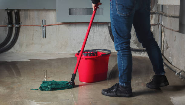 Best Water damage restoration near me  in Valatie, NY