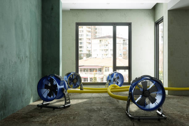Best Flood restoration services  in Valatie, NY